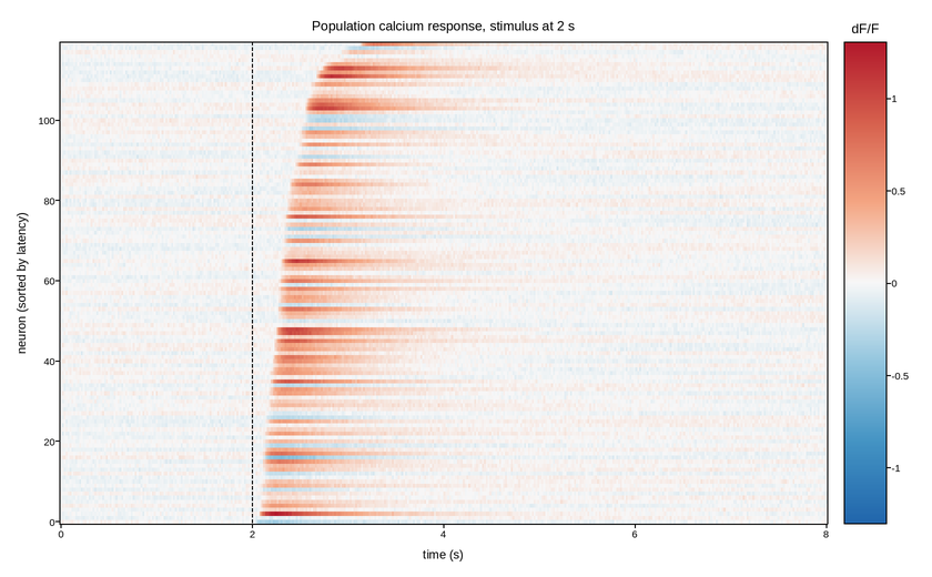 plot 05 calcium imaging